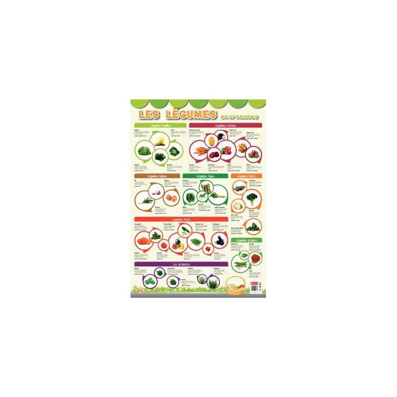 Achetez Poster Pédagogique en PVC 76x52cm - Thème Les Légumes PAPPOSTLEGUMES pas cher sur Ma Rent..