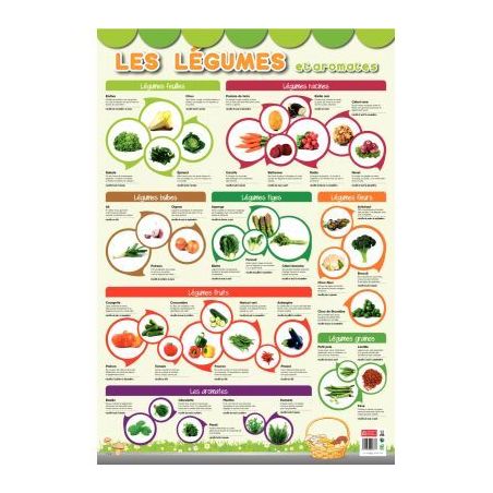 Achetez Poster Pédagogique en PVC 76x52cm - Thème Les Légumes PAPPOSTLEGUMES pas cher sur Ma Rent..