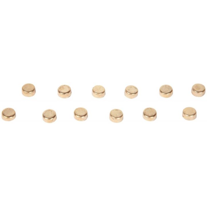 Boîte de 12 aimants diamètre 9 mm, dorés FAI090202 JPC