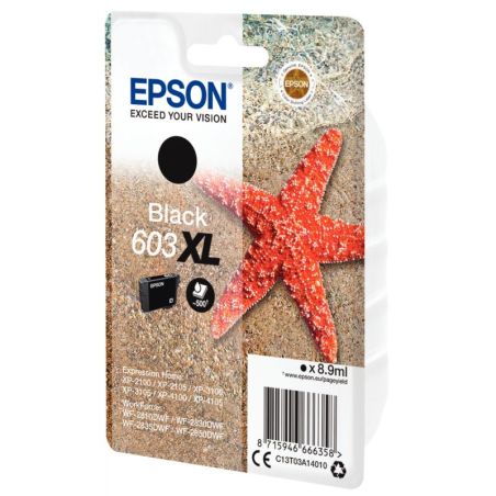 Article scolaire 927252