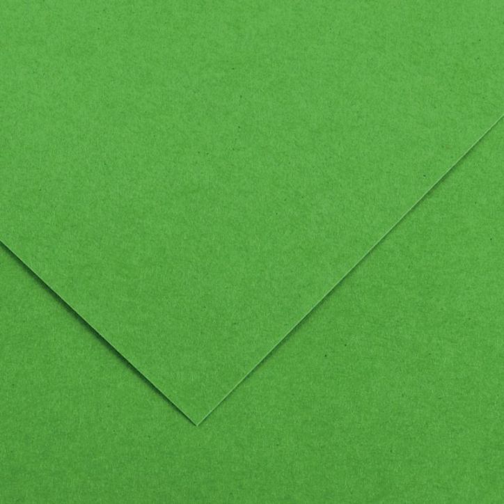 Paquet de 10 feuilles Colorline 50x65 cm 150 g vert franc C200041405 CANSON