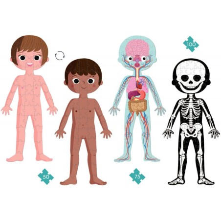 Article scolaire 884073