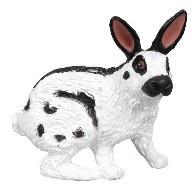 Article scolaire 258732