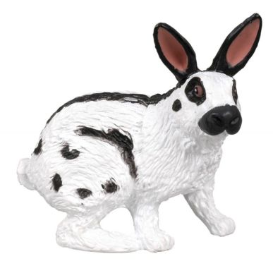 Article scolaire 258732