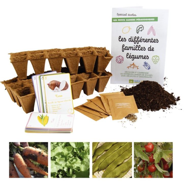 Les différentes familles de légumes 37276