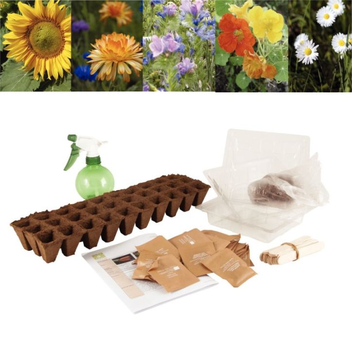 Carton de 30 sachets de graines de fleurs 026832