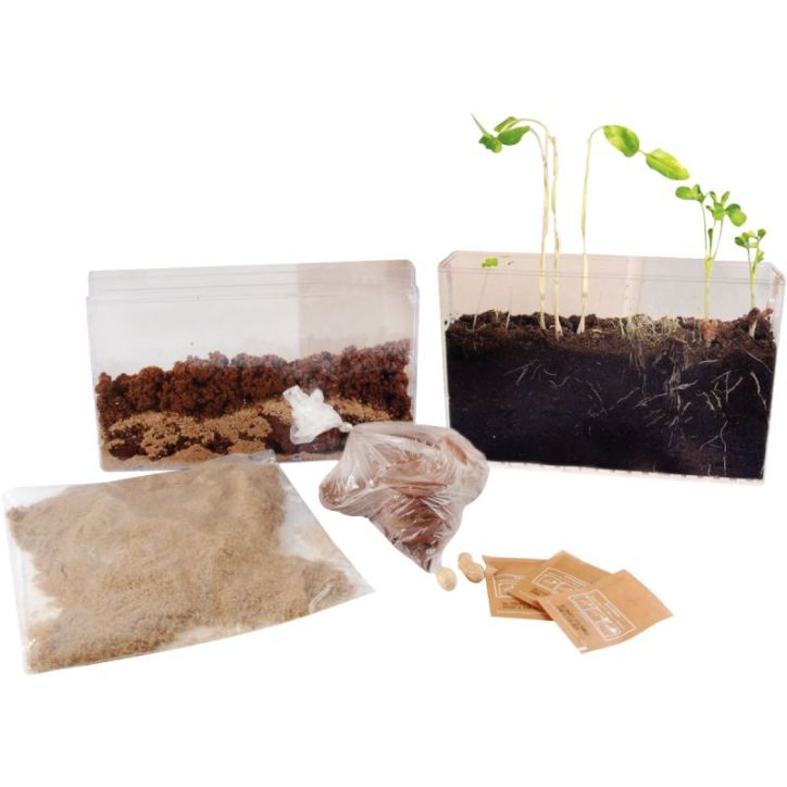 Visio nature : racines et lombrics 26836