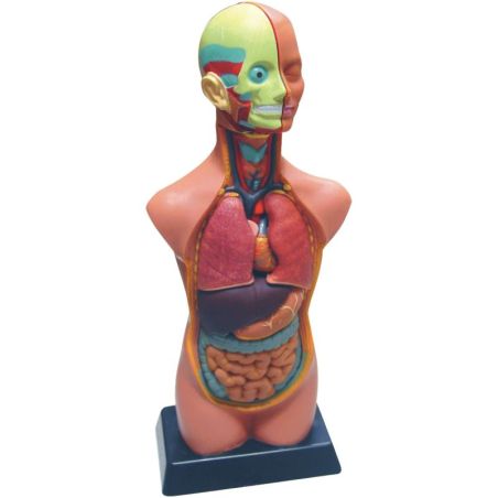 Article scolaire 912451