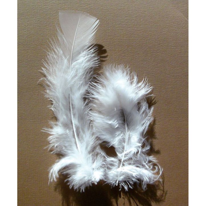 Sachet de 25 grammes de plumes de dinde, pieds plats blanc 460107