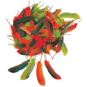 Article scolaire 608942