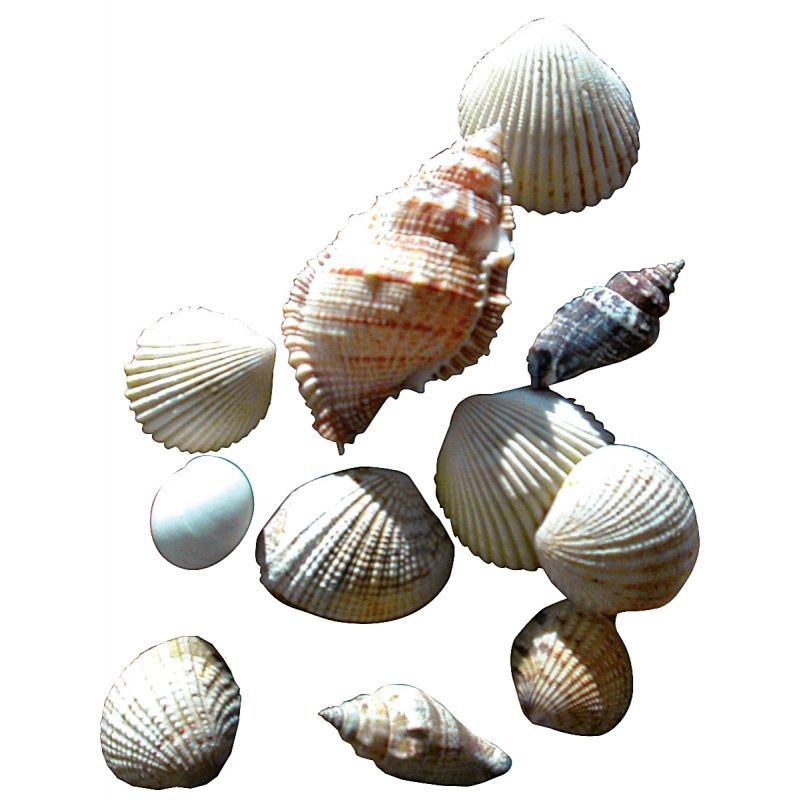 Article scolaire 367804 Article scolaire 367804