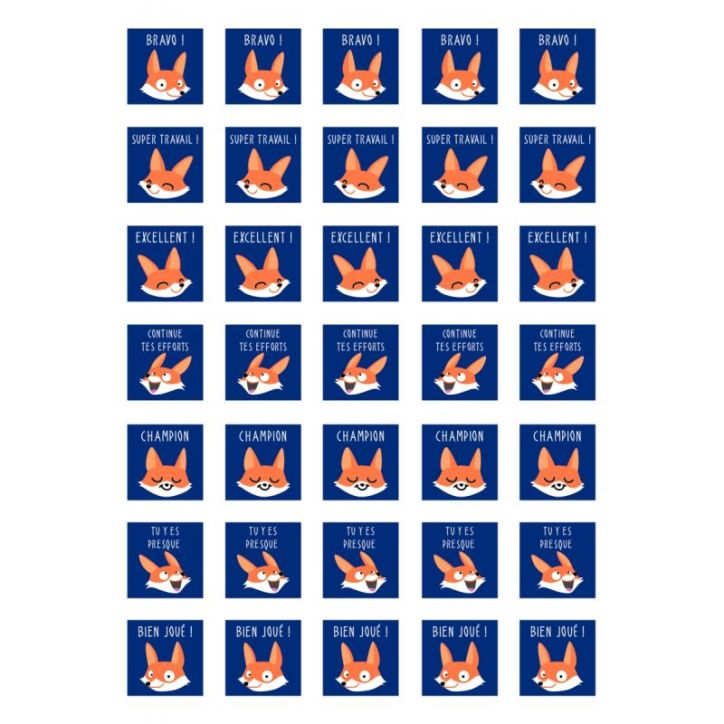 Pochette de 700 gommettes bon points appréciation AE161C MAILDOR CLAIREFONTAINE