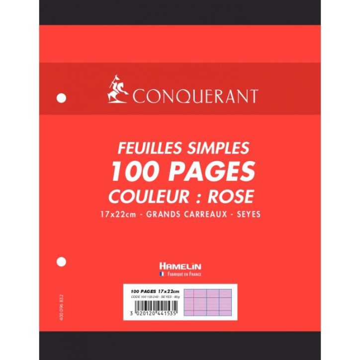 Sachet de 50 feuillets mobiles 17x22 cm seyès 80g, rose 100103243 HAMELIN